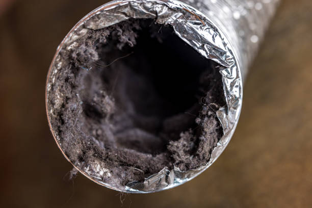 Best Air Vent Cleaning Services  in Ramblewood, NJ