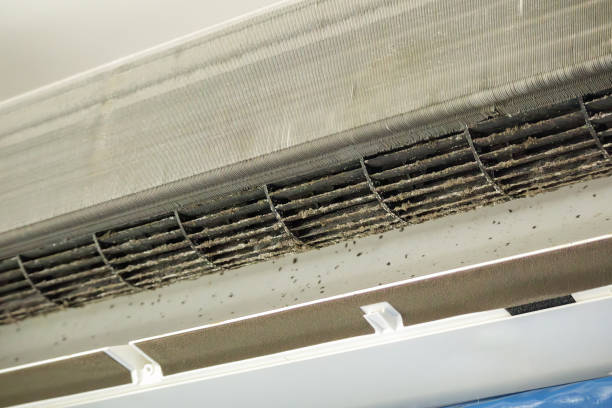 Best Best Air Duct Cleaning Company  in Ramblewood, NJ
